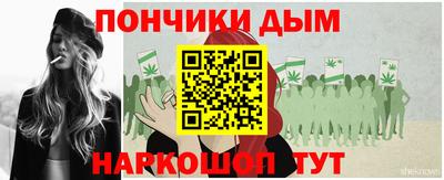 крисы Нальчик