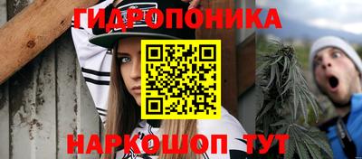 стаф Нарткала