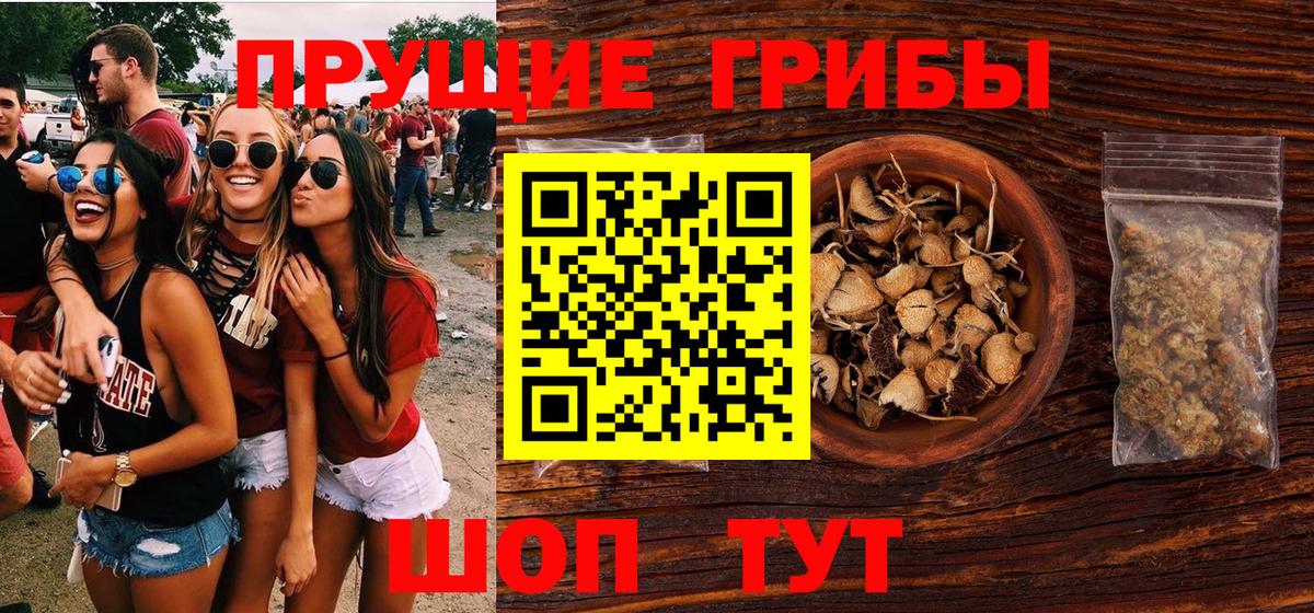 Псилоцибиновые грибы GOLDEN TEACHER Усть-Илимск