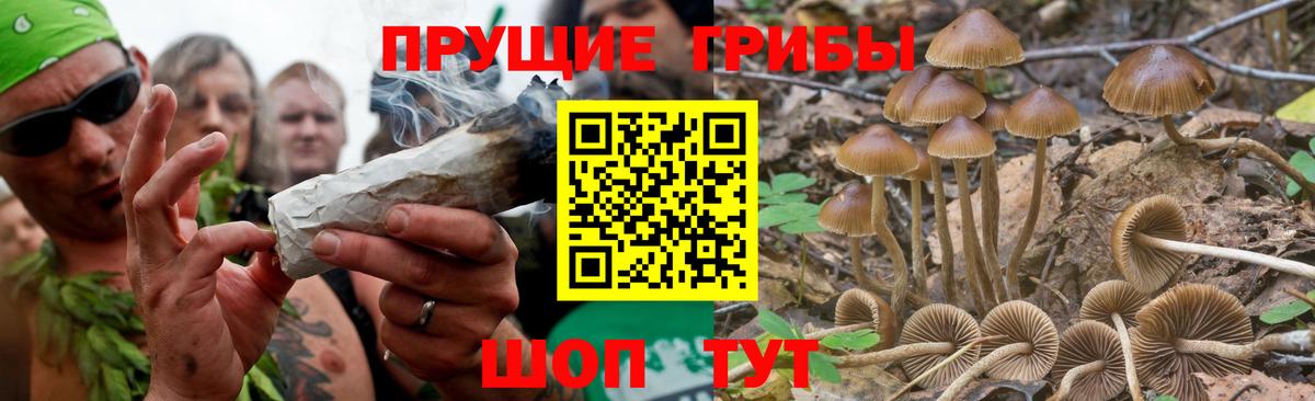 Псилоцибиновые грибы MAGIC MUSHROOMS  Вход с VPN  Усть-Илимск 
